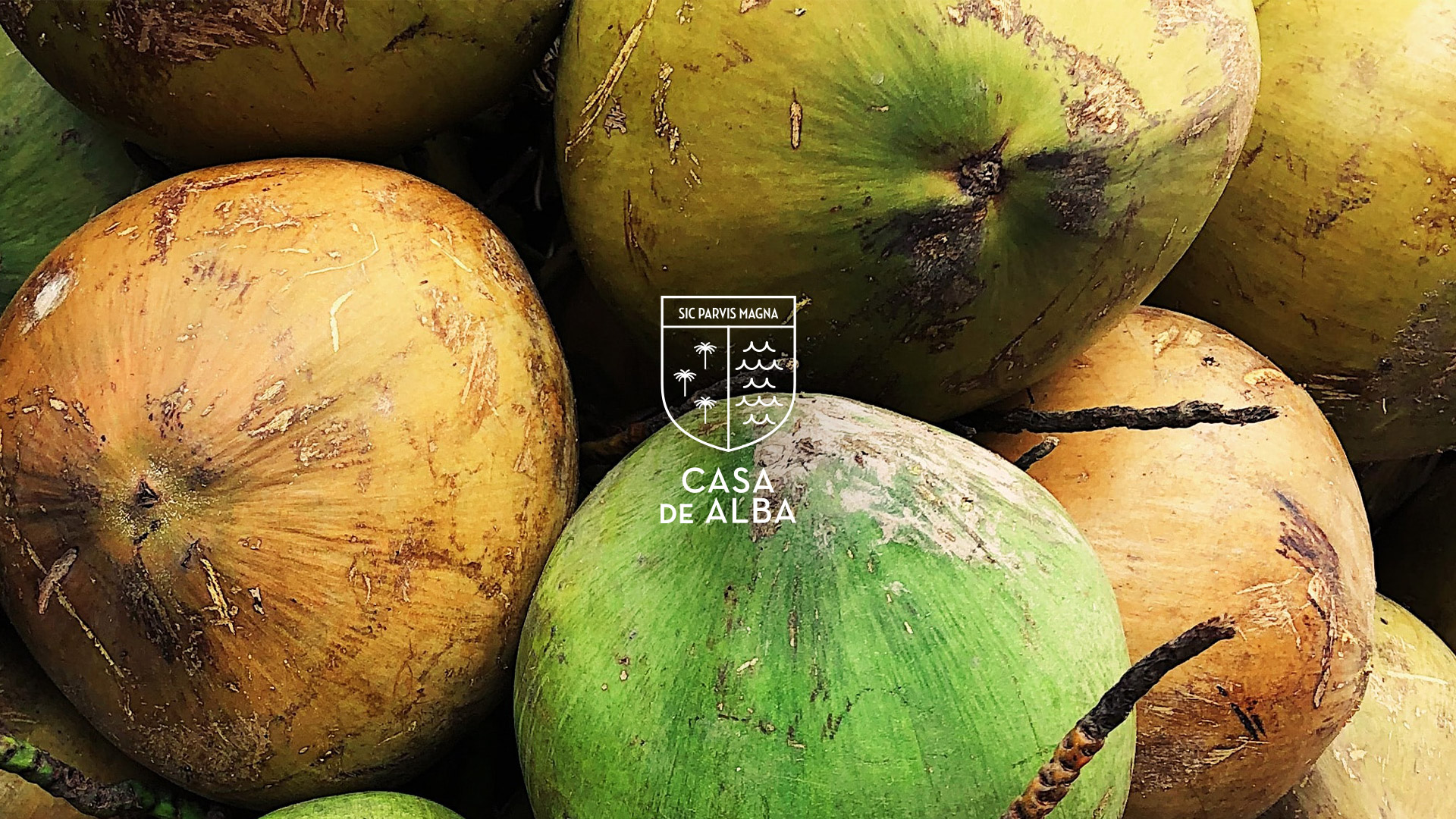 CasaDeAlba-AnimationLogo-02